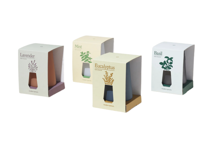 Hydro Grow Kits / Eucalyptus